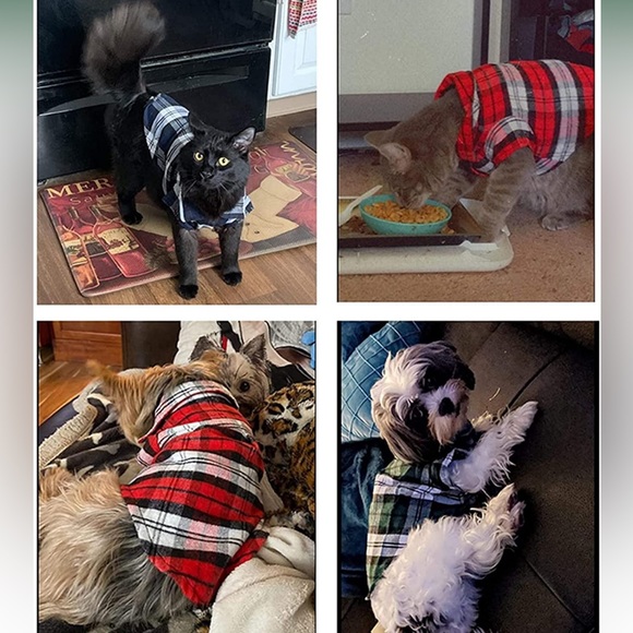 🦚Pick 2/$12- Dog Button Down Blue Plaid Shirt- Size Small- NEW! - Picture 2 of 3